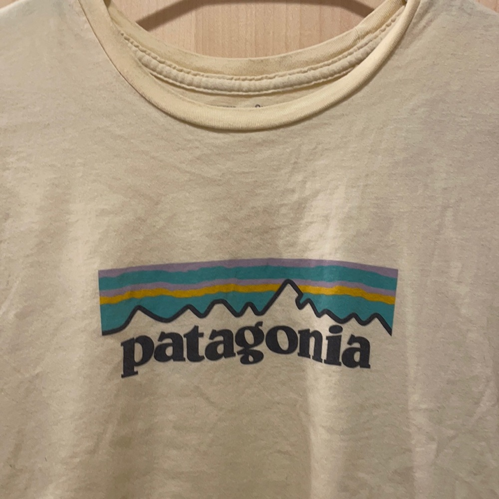 Patagonia t-shirt good condition